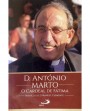 D. António Marto, O Cardeal de Fátima